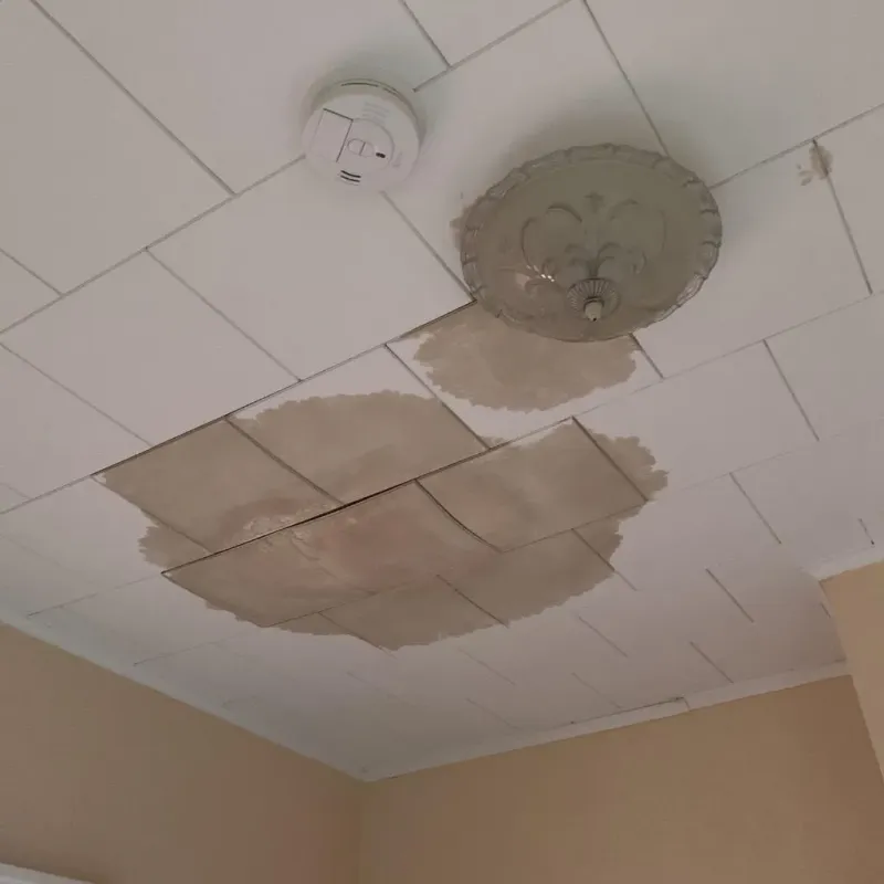 Ceiling Water Damage Repair in Paris, TN