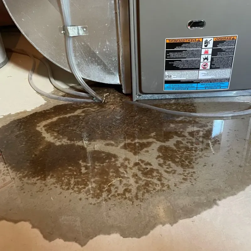 Pipe Burst and Leak Restoration in Paris, TN