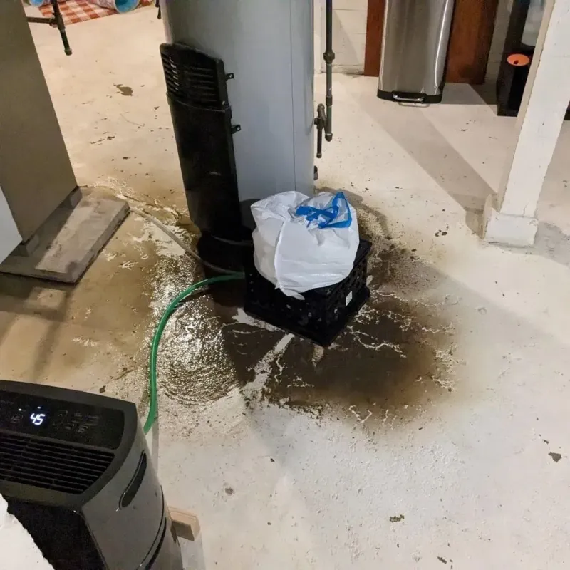 Sewage Backup Cleanup Service in Paris, TN